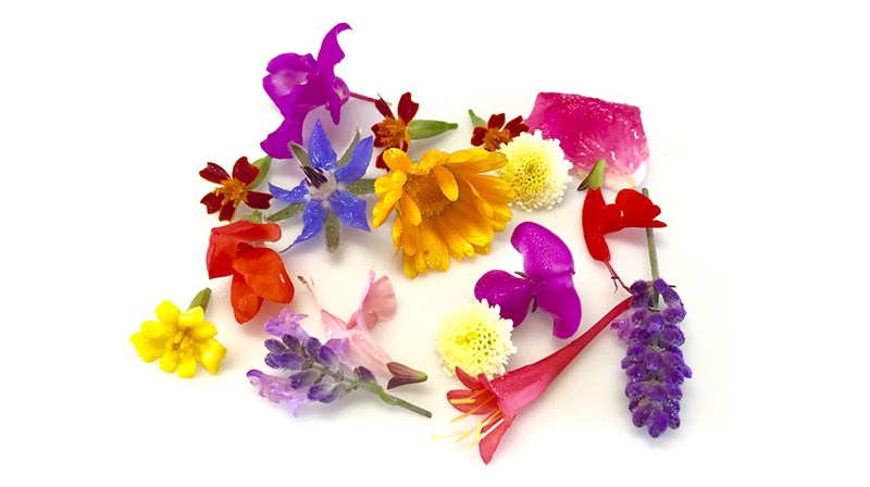 A Complete Guide To 20 Edible Flowers - Sow ʼn Sow